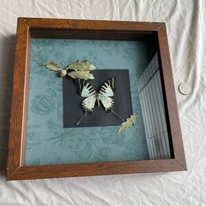 Framed Butterfly Art with Wooden Frame